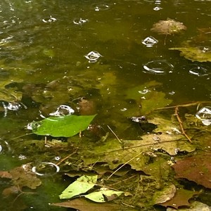 pov: right person, wrong time (Explicit)