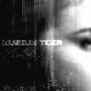 Museum Tiger