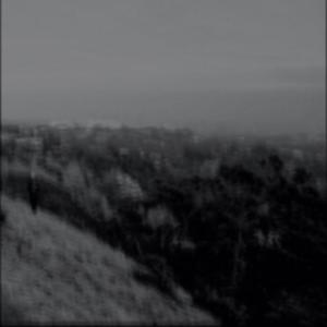 i really should've stayed (Explicit)