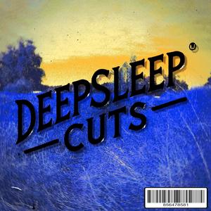 DEEPSLEEPCUTS 2025 INSTRUMENTALS