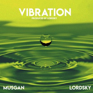 Vibration(feat. Lord Sky)