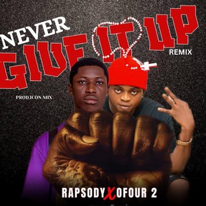 Never Give it Up (Remix)