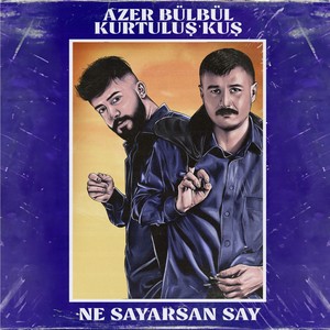 Ne Sayarsan Say