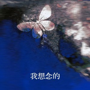 我想念的 (伴奏)