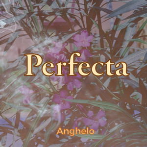 Perfecta (Explicit)