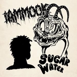 Sugar Water (feat. Ryan Vail of LARCENIA ROE & Klevaer) [Explicit]