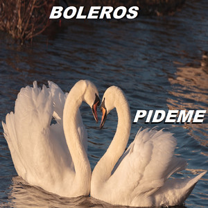 Pideme