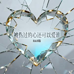 被伤过的心还可以爱谁 (R&B版)