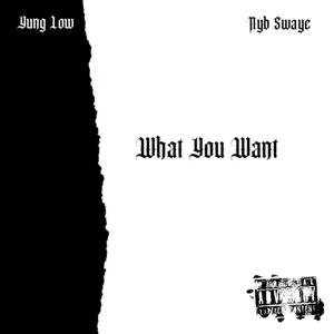 What You Want (feat. Nyb Swaye) (Explicit)