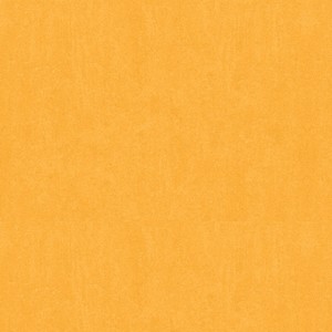 Juliet VR (Explicit)