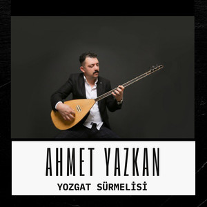 YOZGAT SÜRMELİSİ