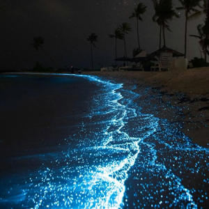 Glowing (slowed down)