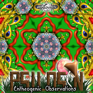 Entheogenic Observations