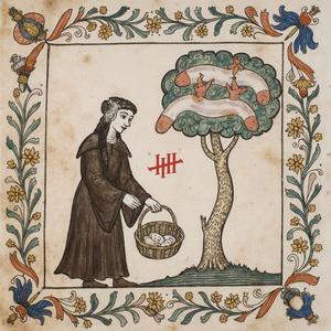 Naschmelodey (Explicit)