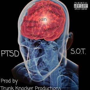 P.T.S.D. (Explicit)