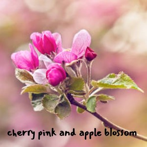 Cherry Pink and Apple Blossom