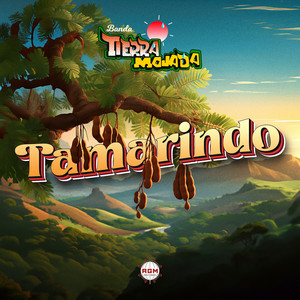 Tamarindo