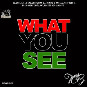 What You See(feat. Black Bo, Killa Cal, Chrystian B, Mike D'angelo, Alex Joines, Phoenix Smith & LL TJ) (Explicit)
