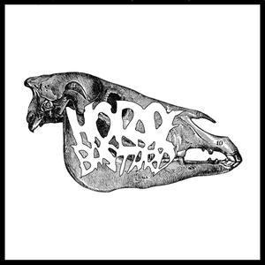 Here's Mud In Your Eye