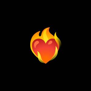 Güzelliğin Acıları Unutturacak (Explicit)