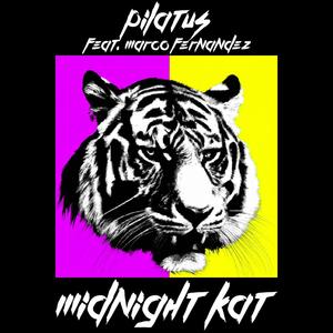 Midnight Kat (feat. Marco Fernández)