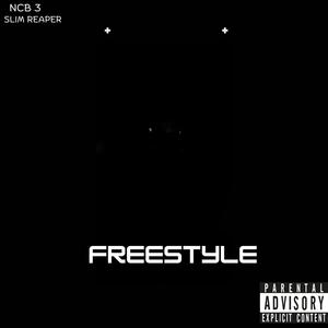 Freestyle (feat. Slim Reaper) [Explicit]