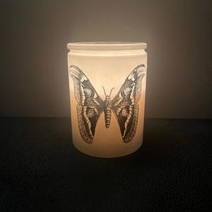 Locc Stroke Phantom (feat. Pretty Liyah, Iconic Savvy & The White House Oval Office) (Explicit)