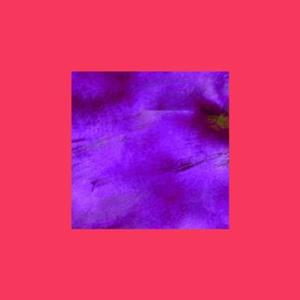 swingtheory.(feat. Loflyier)