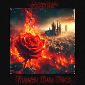 Rosa de Foc
