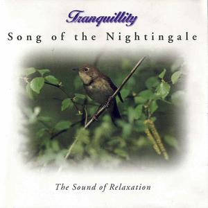 Song Of The Nightingale