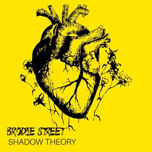 Shadow Theory (Explicit)