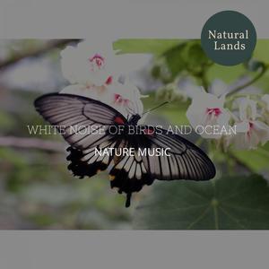 White Noise of Birds and Ocean - Nature Music
