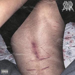 love scars (Explicit)