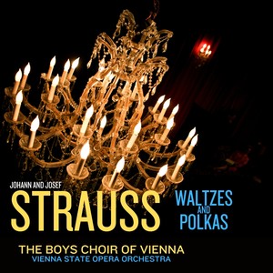 Vienna City of My Dreams