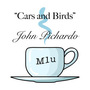 Cars and Birds