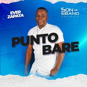 Punto Bare