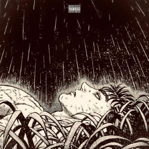 The Trip (feat. Monti Cristo) (Explicit)