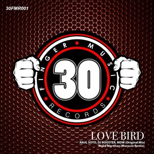 Love Bird (Original Mix)
