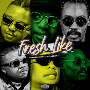 Fresh Like (Explicit)