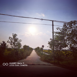 Way Back Home (国语)