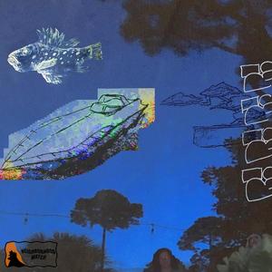 ppgohard (feat. sponk) (Explicit)