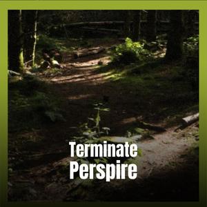 Terminate Perspire