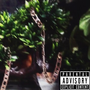 Эту Жизнь (Explicit)