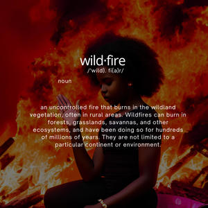 Wildfire