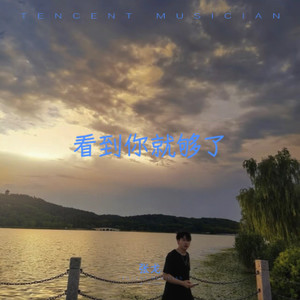 看到你就够了