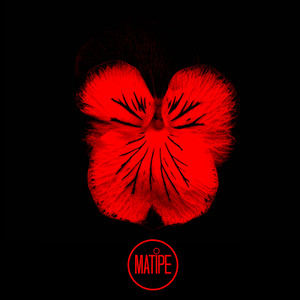 Hurt (Original Mix)