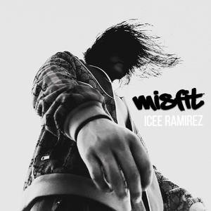 MISFIT (Explicit)