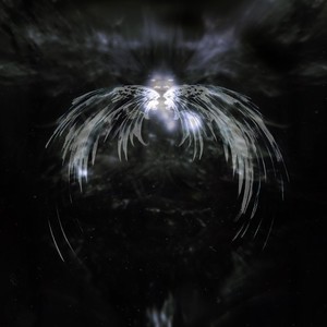 Les ailes de kurzschluss