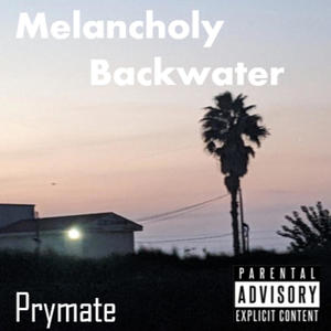 Melancholy Backwater