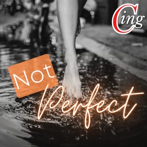 Not Perfect